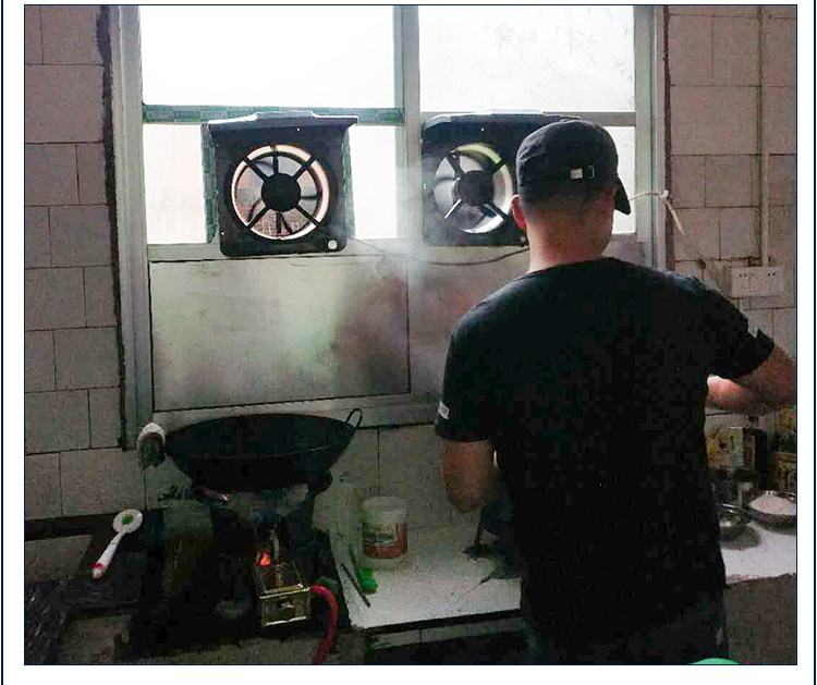 越盛换气扇厨房排风扇油烟机抽油烟风扇家用排气扇抽风机强力10寸_双