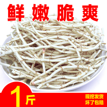 Houttuynia fresh and freshly dug folded ear root side ear root tea Wild fish star grass specialty traditional nutritional tonic