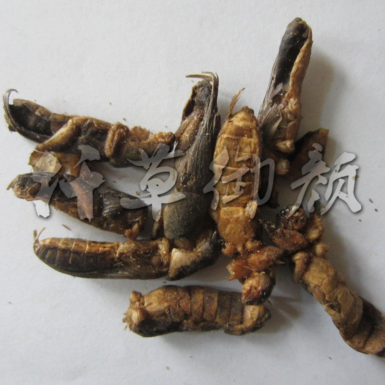 仟草御颜 蝲蛄50克_蝼 蛄_动物昆虫类_中药材平台
