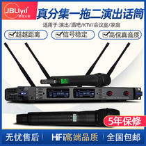 JBLTYD true diversity wireless microphone one drag two KTV home singing performance outdoor wedding lavalier microphone