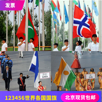 No. 123456 Norway Maldives Niger Nicaragua the Republic of Nicaragua the flag of the world the flag of the world the spot