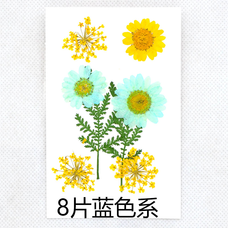 Yellow Daisy Aesthetic Sticker