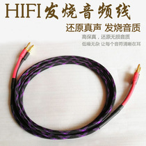 Banana head sound box cable universal extended audio cable pure copper cable with plug double head fever Horn Cable