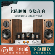 Bile machine audio fever combination old Chen courage machine kt88 Huiwei speaker fever hifi bookshelf speaker set DIY