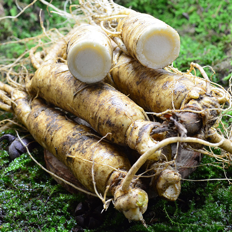 人参现挖东北特产长白山集安6年泡酒炖汤大个人参