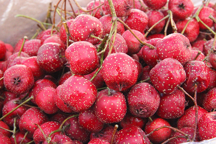 承德小金星山楂 1斤 新鲜水果 小山楂 微甜 不太酸的品种