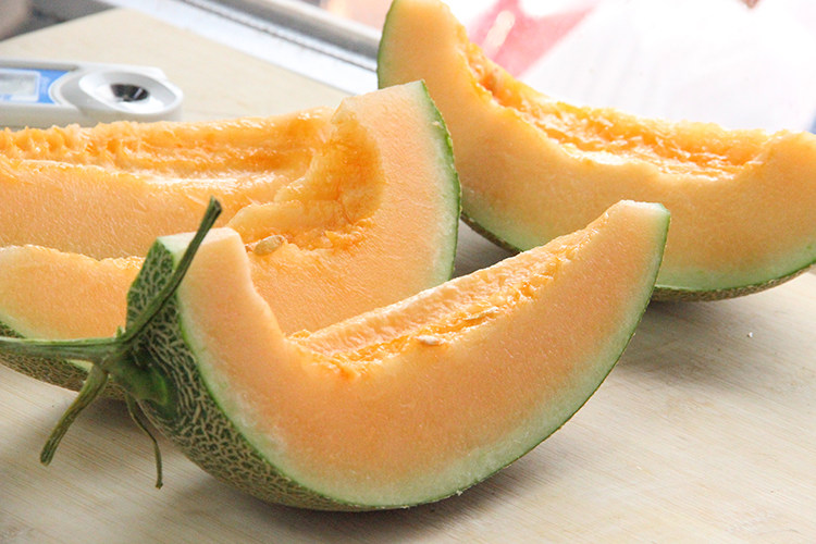 新疆西州蜜哈密瓜 1颗 3斤  新鲜水果 保证脆甜 不甜退款