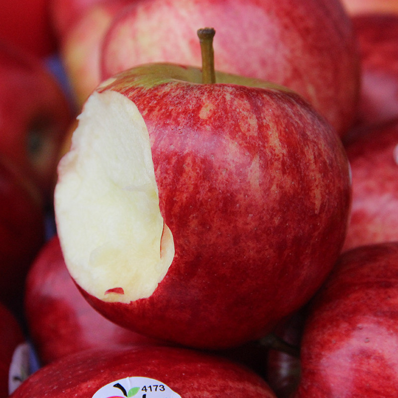 新西兰皇家嘎啦苹果 6颗 4173 新鲜水果 苹果 姬娜果 新上市脆甜