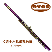 Ovis flute FL-510R Flute Exam Gold plated flute Color paint Flute Instrument Beginner Pink