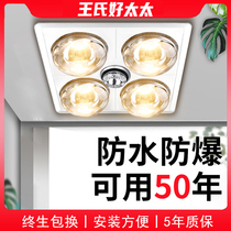 Wangs good wife bath bully toilet ceiling bathroom old lighting exhaust fan integrated heating bulb shower room