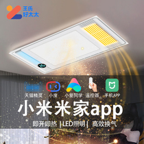 Xiaomi Sky Cat Elf Wangs Good Wife Bath Bully Light Toilet Exhaust Fan Lighting Integrated Ceiling Heating