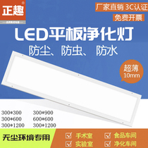 Flat purifying lamp led clean light 300 x 1200 strip lamp Ming mounted suction light dust-free workshop strip lighting