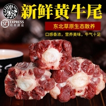 Northeast Qiqihar halal fresh beef specialty barbecue coccyx Absolutely no water-injected cow tail SF delivery