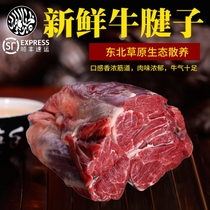 Northeast barbecue Qiqihar specialty barbecue Halal fresh beef tendon money tendon beef exhibition hot pot ingredients