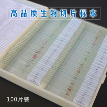 Datyson Microscope Accessories Biological Specimen Sections 100 Chinese-English Bilingual Logo Plastic Box Packaging