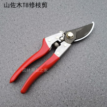 San Samo T8 trim cut branches save the hand cut small SK5 garden home scissors fruit tree scissors