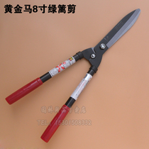 Golden horse 8 inch hedge scissors garden flowers and trees branches shears hedge shears flower scissors branch shears hand scissors