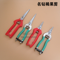 Famous drill fruit cutting grape scissors straight head scissors horticultural scissors vegetable picking cutting tool