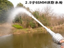 2 5 inch 65mm DC water gun fire gun washing car washing mud fire water gun irrigation gun Agricultural