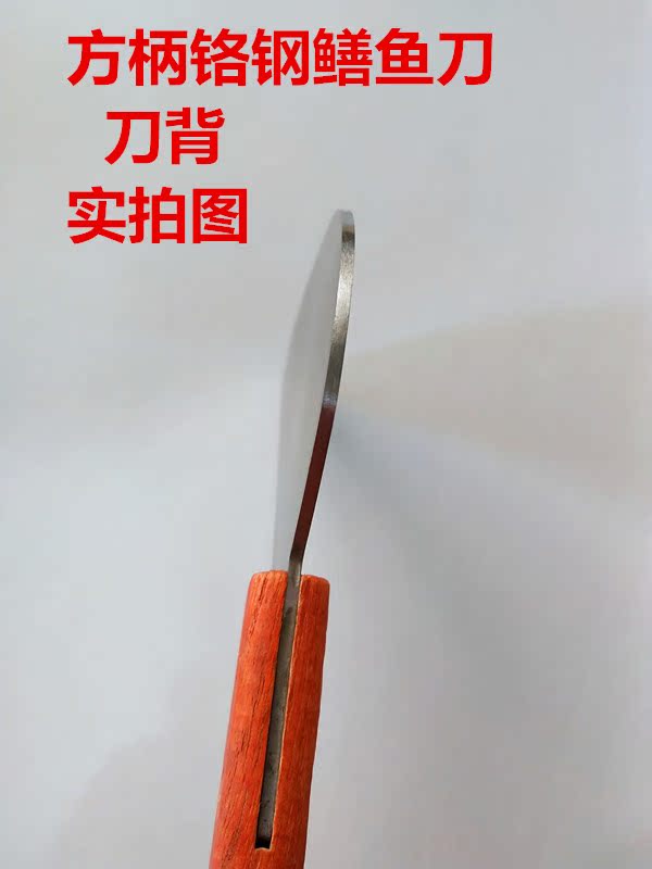 包邮杀鳝鱼刀 黄鳝刀 破鱼刀 杀鳝鱼工具 杀泥鳅刀 划