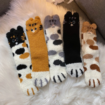Cat sleep socks Female cute winter socks Autumn and winter warm tube socks Home soft coral velvet floor socks