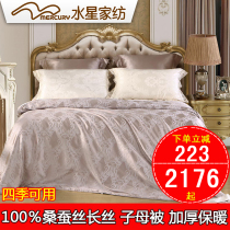 Mercury home textile silk quilt mother quilt two-in-one 100% mulberry silk filament winter quilt spring and autumn quilt