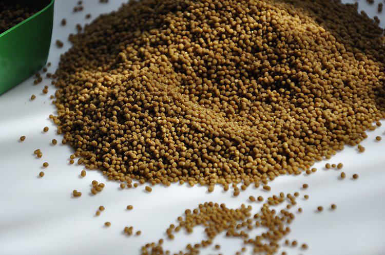 食谷鸟鸟食22号金青鸟饲料 玉鸟芙蓉鸟饲料 黄雀鸟食 蜡嘴鸟食