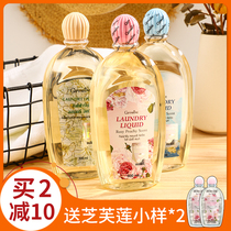 Thailand Zhi Fulian underwear cleaning liquid ladies special antibacterial laundry detergent household 500ml