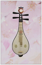 Popularize Liu Qin Guangning Musical Instrument Zhang Xinhua Produced