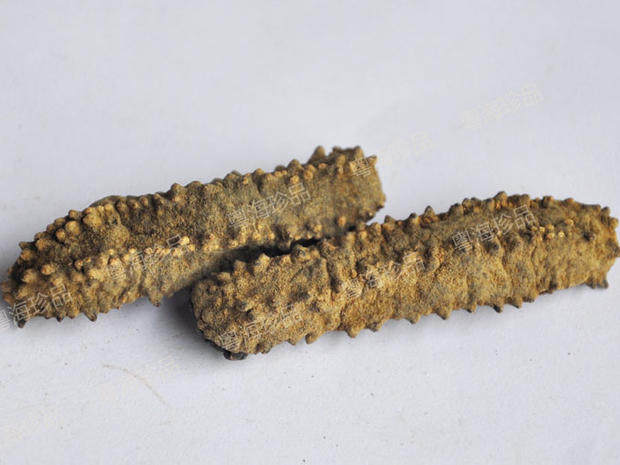 澳洲方刺参淡干海参 野生海参澳洲海参进口干货海产品海参50克