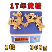 Seven-house Laojiu Jiuhua Mountain wild Sealwort name Guido Extra Large sealwort Dry 17 years 15 1 Root of total weight 300 gr