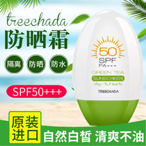 Thailand TREECHADA sunscreen barrier milk green tea SPF50 student party men and women face whole body UV protection