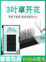 3D Flowering Clover Eyelash and Eyelash Shop Special Super Soft Antibacterial Y-type Grafting 0 05 Soft Hair Big Flower yy Eyelash