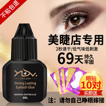Grafted eyelash glue quick-drying long-lasting and firm fresh ultra-sticky eyelash shop special low-stimulation planting false eyelashes