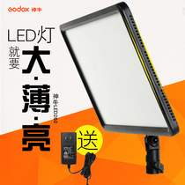 Shen Niu LEDP260C SLR camera video camera light Soft light Studio news fill light adjustable color temperature