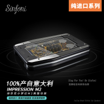Wuhan store Sinfoni car audio Sinfoni small dream M2 two-way Class A power amplifier imported from Italy