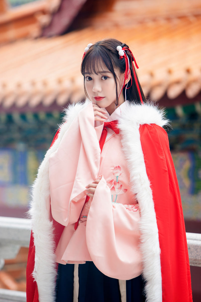 5973传统汉服绣花交领长袖襦裙袄裙齐腰工字褶汉元素套装