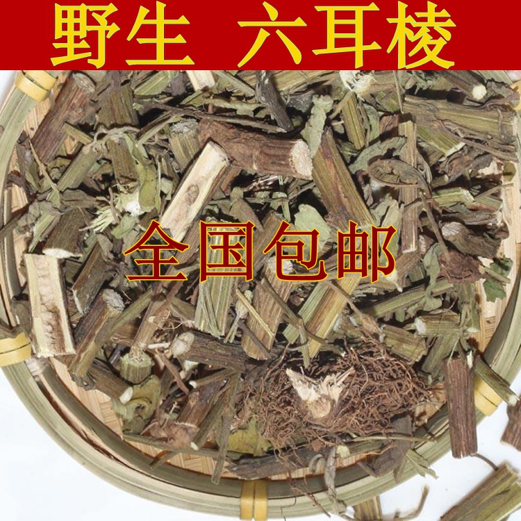 中药材正品 新货六耳棱 百草王 鹿耳翎 六棱菊 六耳铃