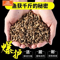 New black water gadfly larvae living fish bait yellow bone fish catfish catfish bream bream carp live bait turtle octopus octopus octopus