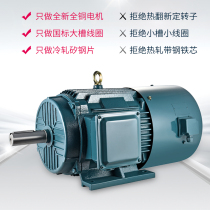 Frequency conversion speed regulation three-phase asynchronous motor YVP-6P YVF all copper 1 1 3 5 5 7 5KW National Standard Motor