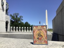 sacred sisterhood tarot