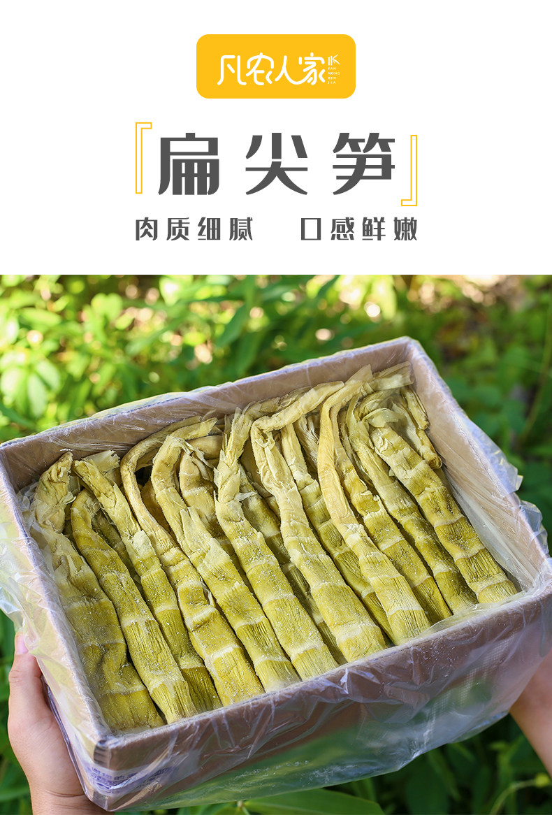 笋干干货农家自制新鲜扁尖嫩竹笋干黄山特产农家野生笋尖散装5斤