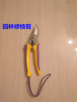 Dexian pruning shears flower shears gardening scissors floral pruning branch scissors fruit tree pruning branch scissors garden forest repair