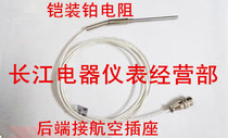 Thermal resistance PT100WZPK-191 sheathed heat resistance aerial plug-type temperature sensor temperature sensor