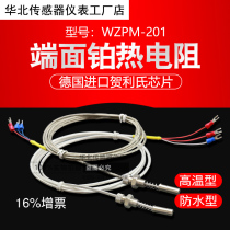 End face PT100 platinum thermal resistance temperature sensor Waterproof high temperature WZPM-201 motor bearing surface probe