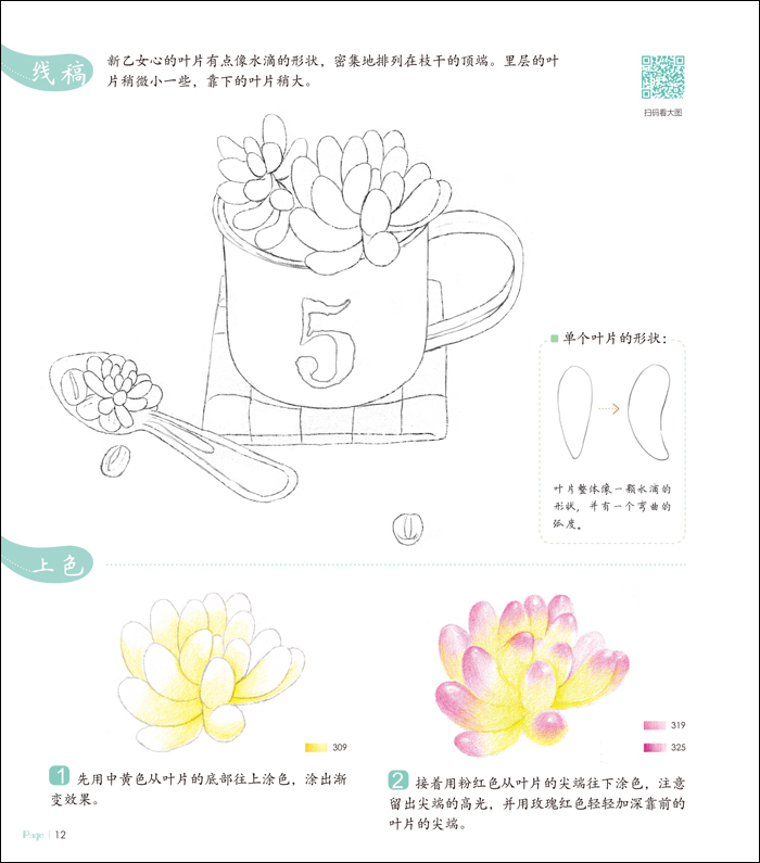 书名:多肉绘:31幅清新美肉的色铅笔图绘: 原价:36.8元 作者:飞乐鸟著 出版社:中国水利水电出版社 出版日期:20160301 ISBN:9787517040576 字数: 页码:168 版次:1 装帧:平装 开本:24开 商品重量: 编辑推荐 多肉植物,从三年前罕为人知的小透明到如今的国民萌物,地位简直不可同日而语。鸟酱工作室里画师大大们的水平也像努力生长的肉肉一样,噌噌地上涨,今昔比。从小编我的角度看,这本《多肉绘》已经让我无数次交出膝盖顶礼膜拜了!怎么能那么好看呢!怎么能那么好看呢