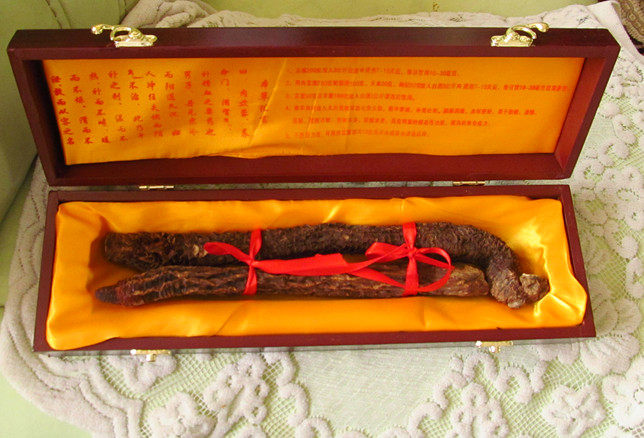 阿拉善野生油性肉苁蓉礼盒 滋补泡茶滋补养生送了佳品苁蓉 锁阳装