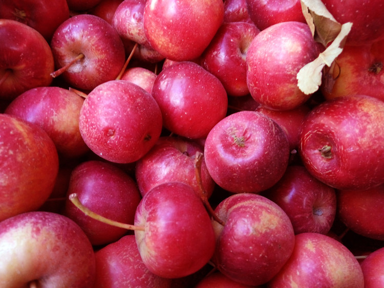 龙丰果 大秋果 东北沙果 特产新鲜水果非海棠果酸甜脆 最后一批果