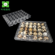 Factory direct sales with buckle disposable transparent plastic quail egg tray 30 egg packaging box shockproof and pressure-resistant tray