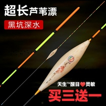 Floating to shell reed floating date nuclear type black pit carp floating crucian carp drift with high sensitivity and bold and lengthened version